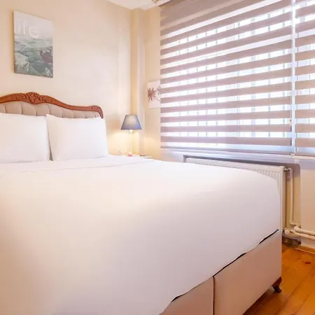 Central Flat With Balcony 700 M To Taksim Square 伊斯坦布尔
